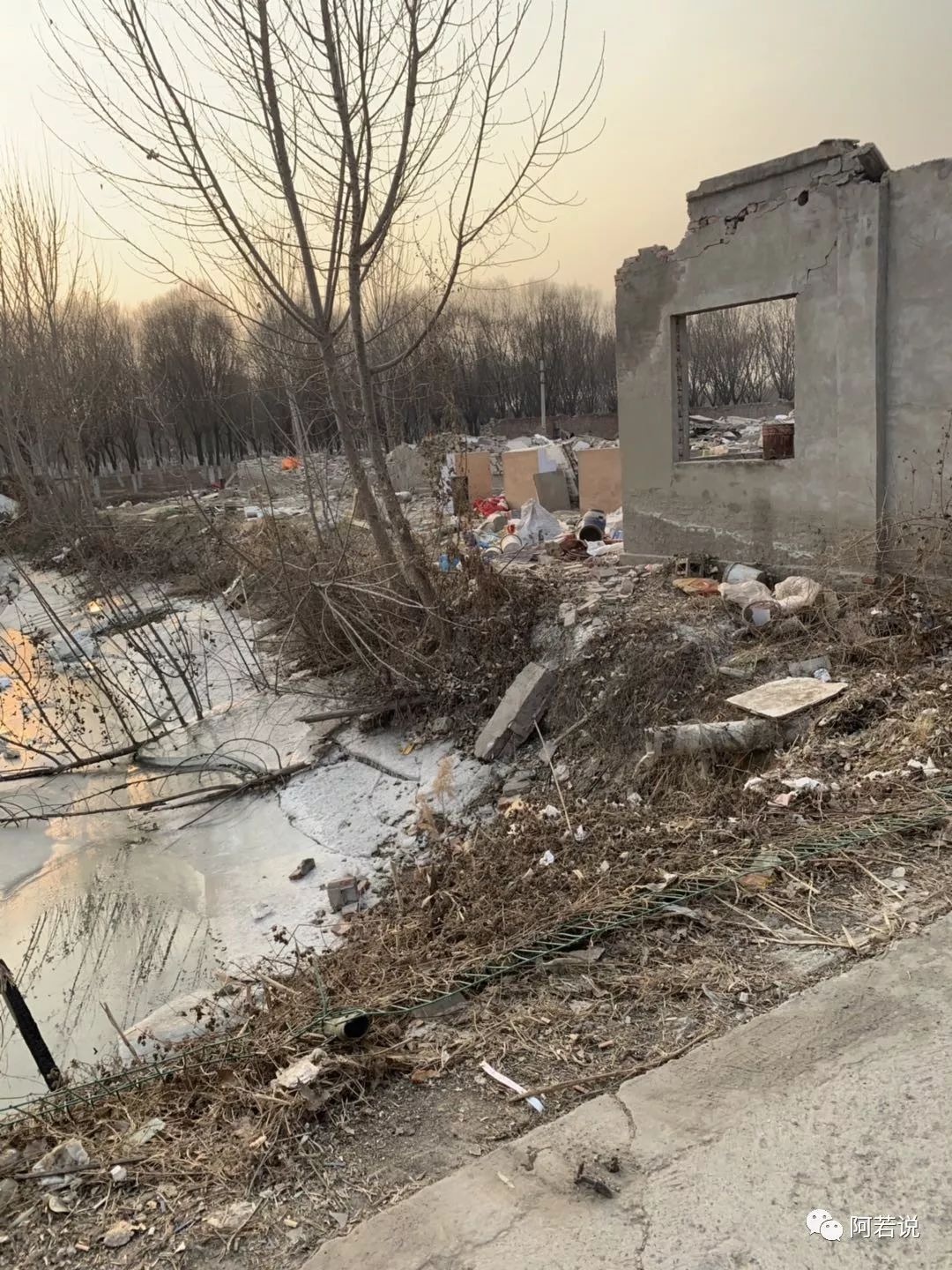 揭秘非法贩猫产业链,揭秘行业秘密