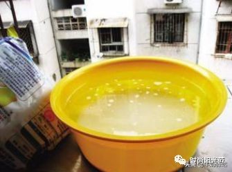 家里蚊子多怎么办只需简单一招,家里蚊子很多教你一招蚊子死光光