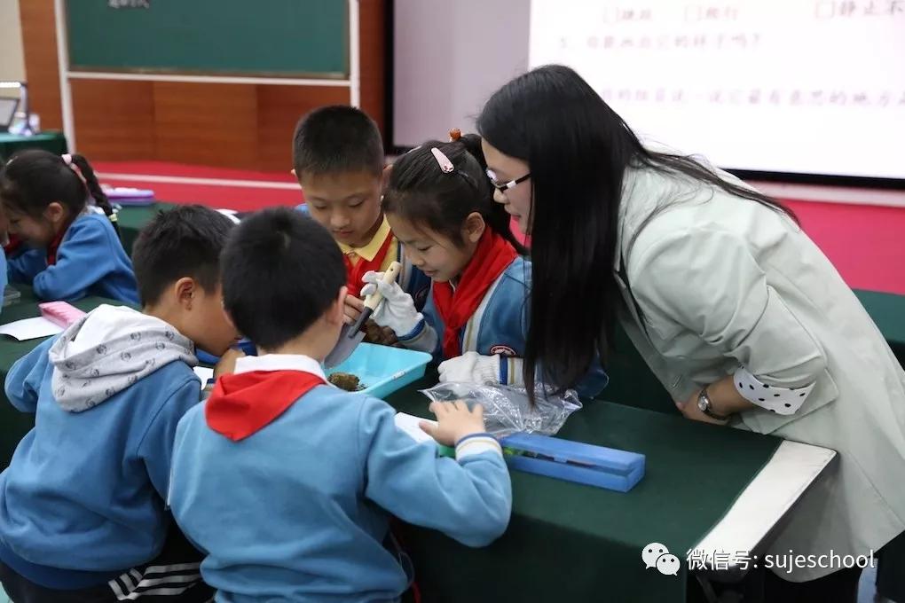 南京梅山学校招聘,苏杰学校浦口校区招聘