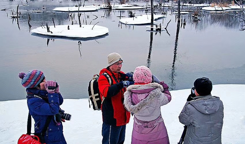 林海雪原女子,林海雪原上的女人