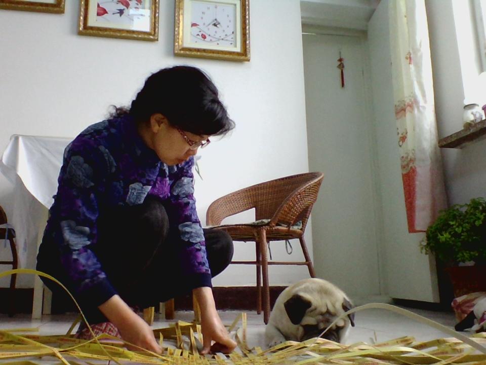 我和牛牛成长记,我和牛牛