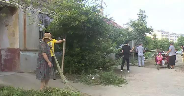 威海脏乱差,威海环境卫生整治