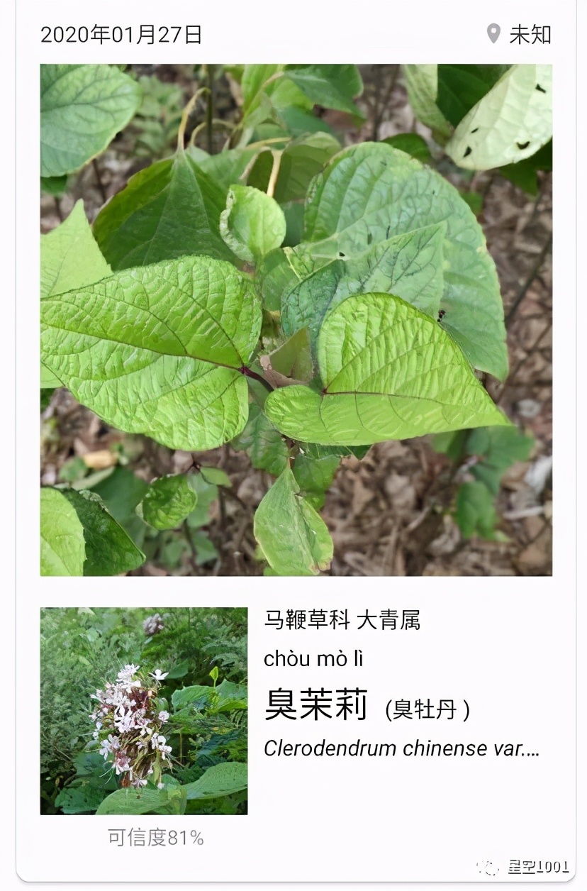 春节假期记,记录2022春节假期