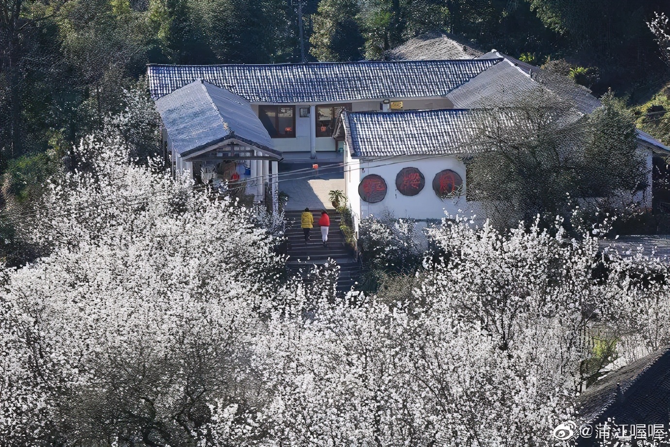 成都春游好去处周末 (成都周边周末春游推荐)