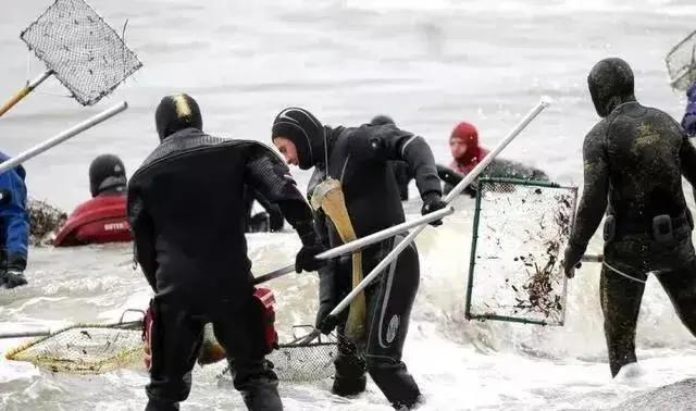 海边捡瓶子赚钱,国外捡蜜蜡