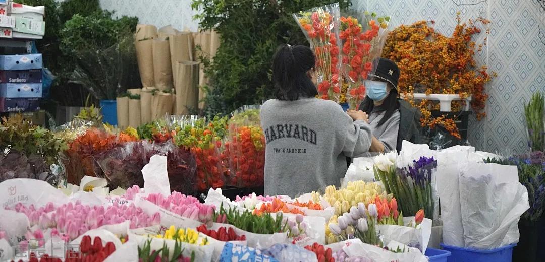 花卉市场晚上营业,今天的花卉市场