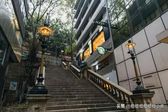 香港攻略高铁自由行,坐高铁香港自由行攻略