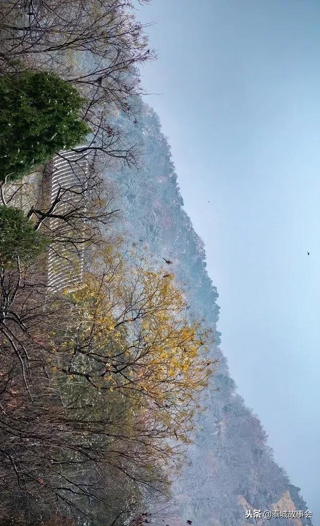 泰山美图100张,泰山云海美图