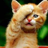 旅行社代订机票可以抵扣进项么,什么样的飞机票可以抵扣进项税