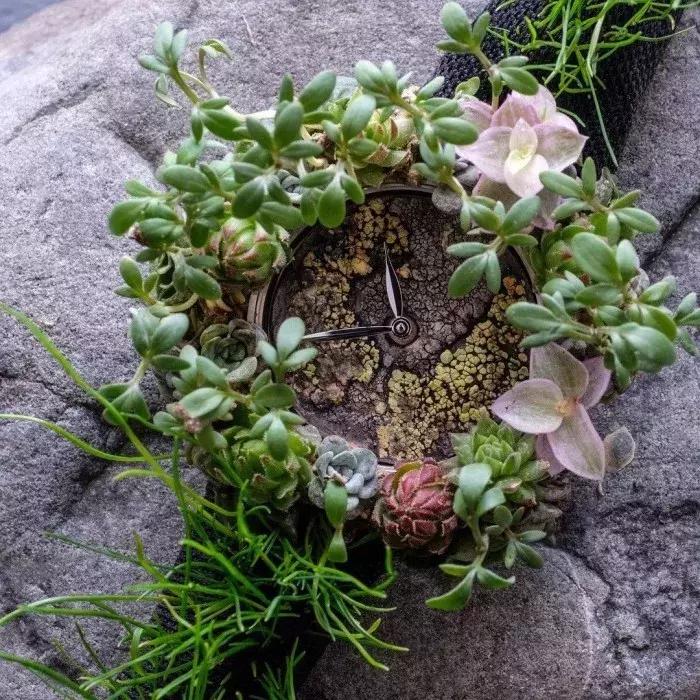 它比虚无的黑洞更黑，让全世界的瞳孔无法聚焦