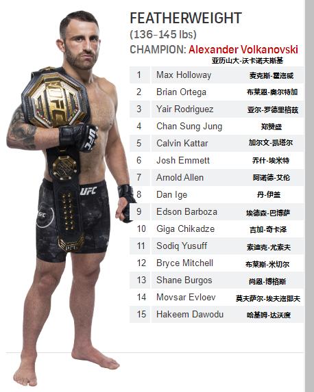 2021ufc重量级排名前十,ufc皱量级大力鼠排名