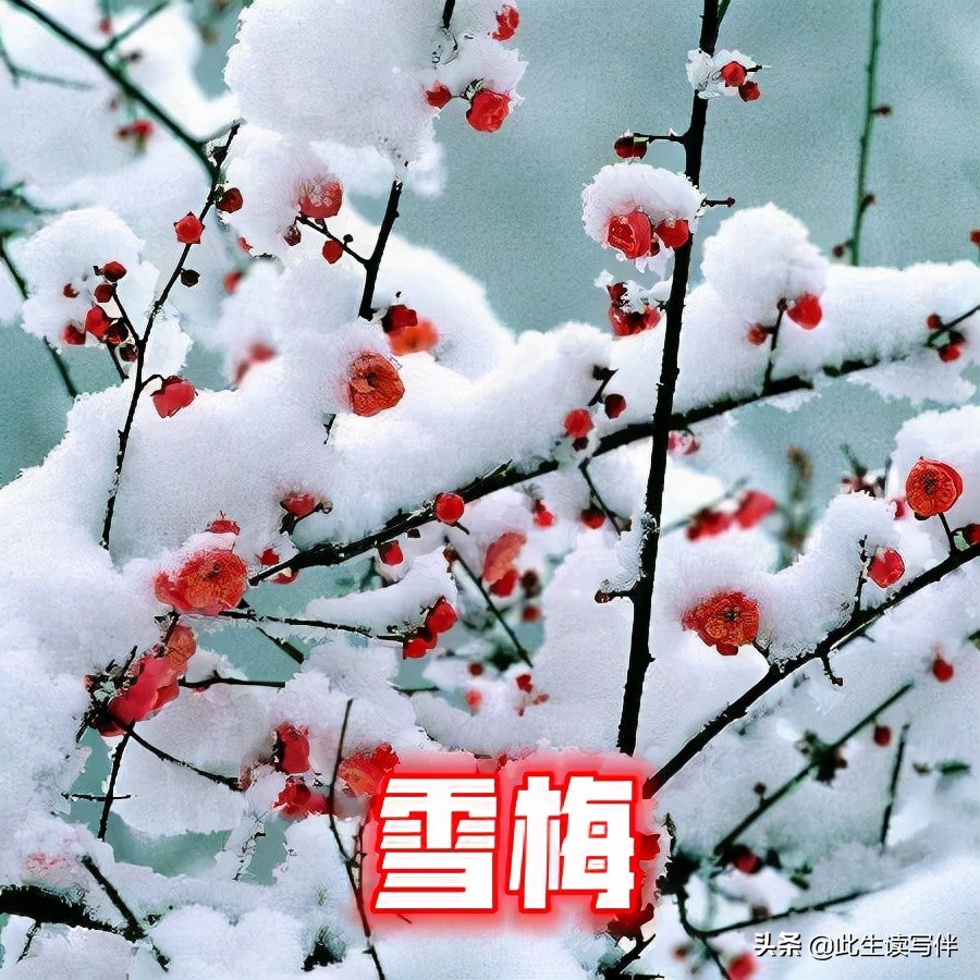 冬日暖心诗句简短,冬日暖心语录简短诗句