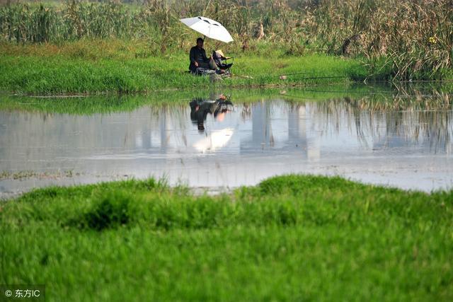 为什么南方多红色土壤,为什么南方红土北方黑土