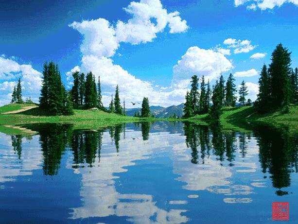 100张会动照片,30张罕见且迷人的图片