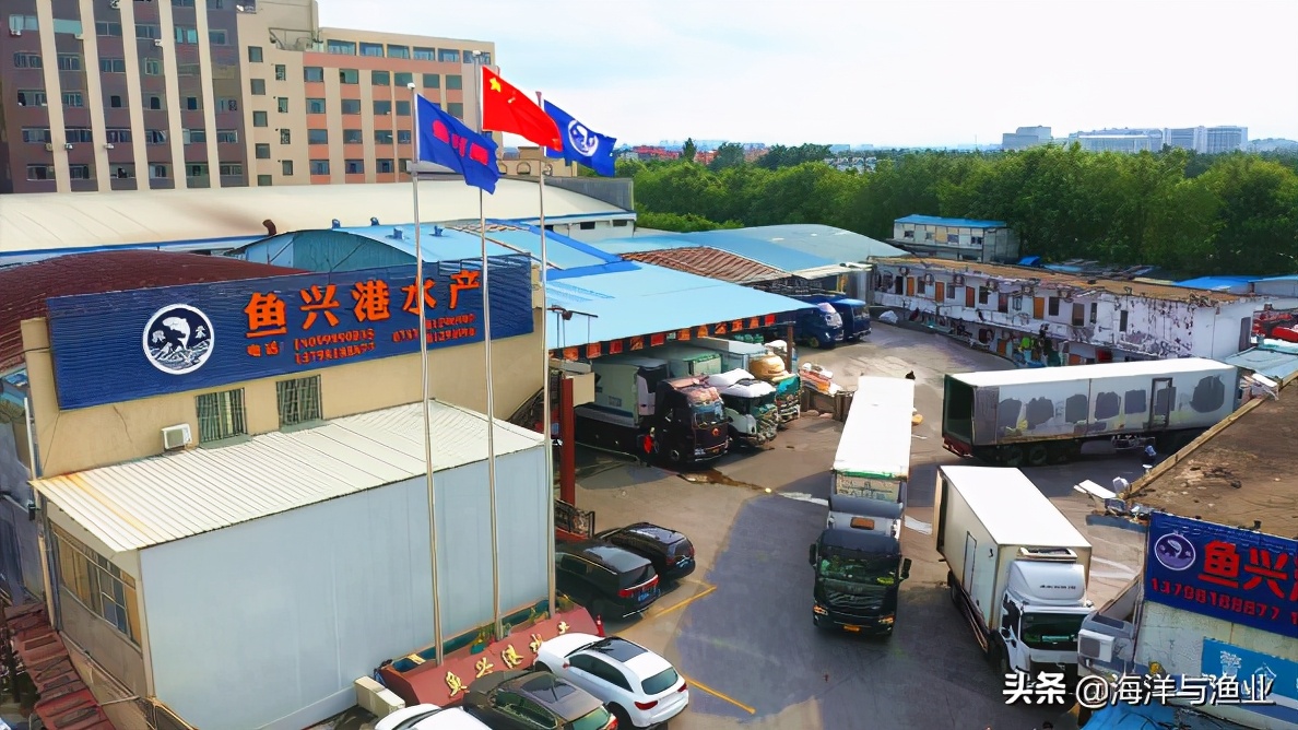 娲婚奔72灏忔椂,娲婚奔杩愯緭30灏忔椂涓嶆