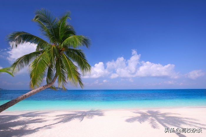 三亚有多少高校,三亚美丽的海滨城市