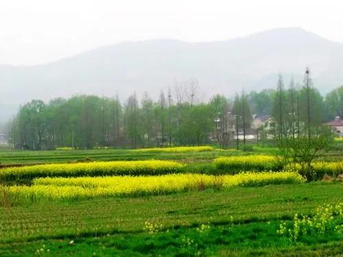 为什么一般要求填写籍贯,填写籍贯需要具体到哪