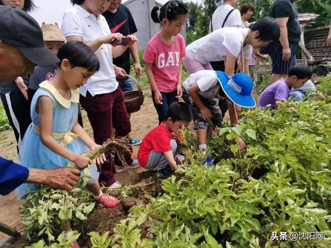 沈阳附近民宿小院,沈阳农村民宿独门独院价格