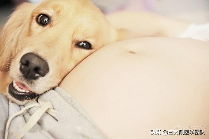 女性备孕助孕食谱大全,女性备孕吃什么助孕