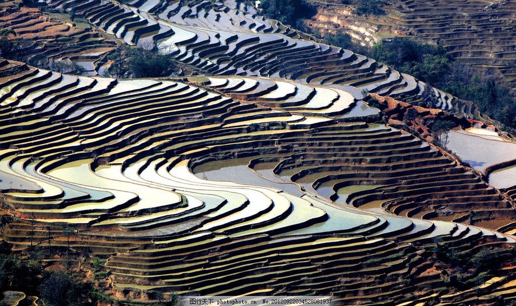 中国56个民族知识大全书籍,关于中国56个民族的知识