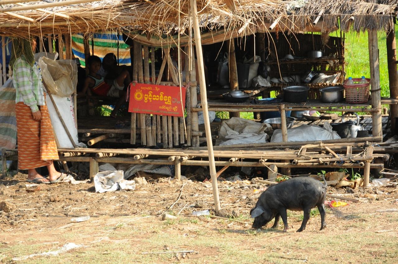 缅甸为什么那么穷,缅甸是如何变穷的
