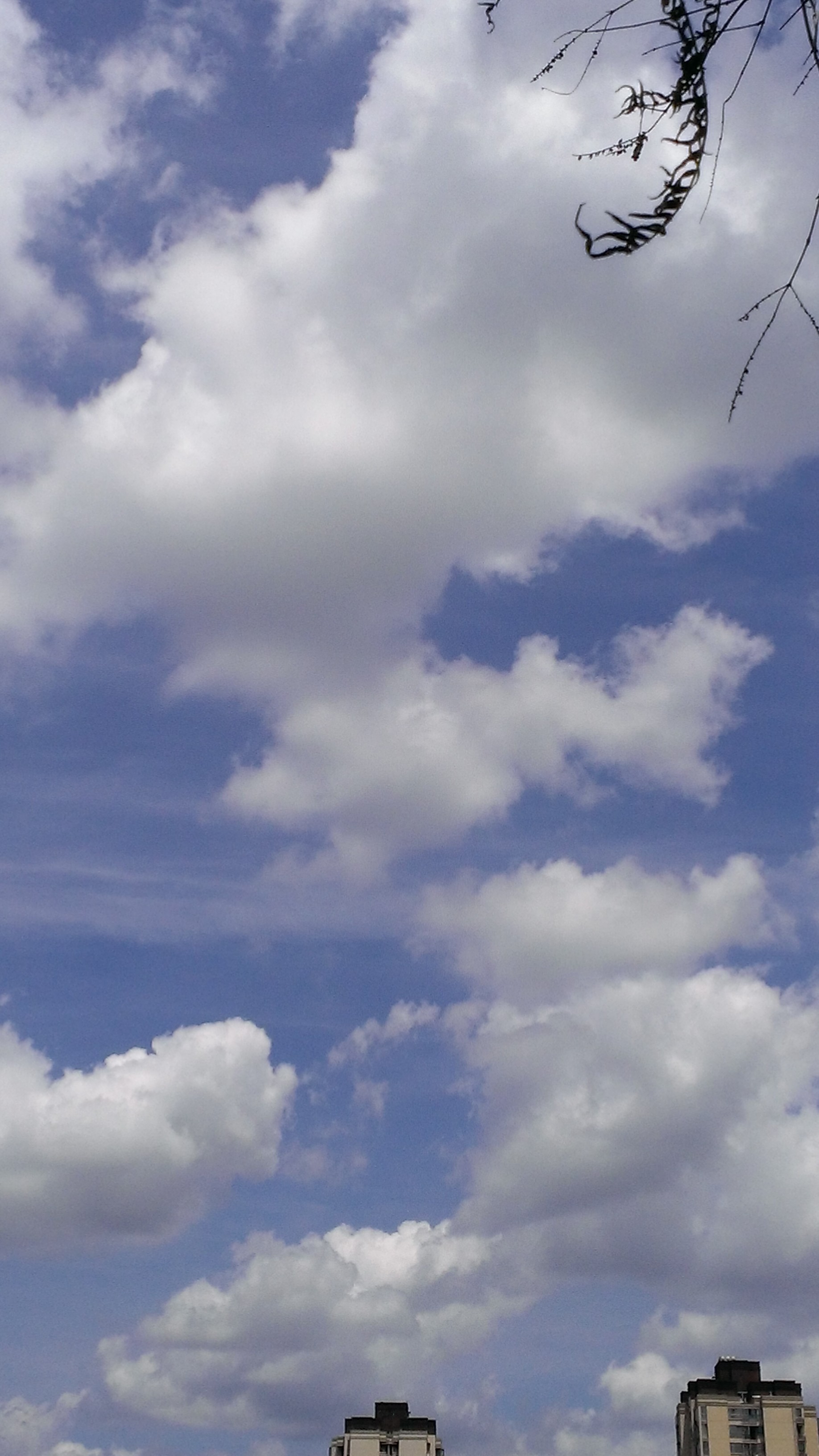 htc8x手机质量怎么样,htc冷门机器