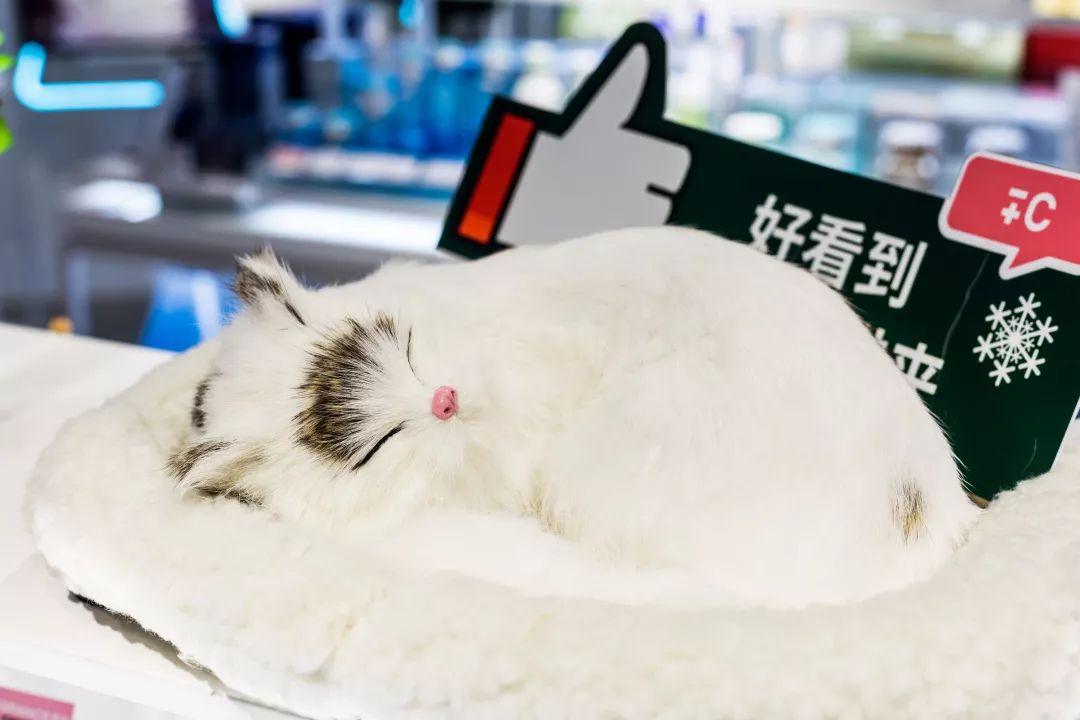 @所有猫控！万菱汇「猫咪美妆店」，任吸任摸！还有GD限量同款