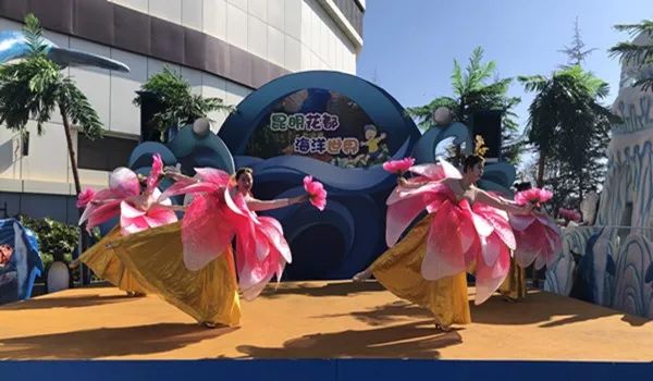 鏄嗘槑钀屽疇鍔ㄧ墿涓婚涔愬洯,鏄嗘槑瀹ゅ唴钀屽疇涔愬洯