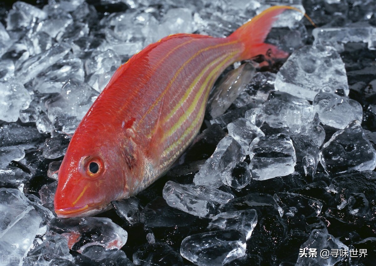买鱼食内行人专买这十种纯海鱼,内行人就买这5种鱼