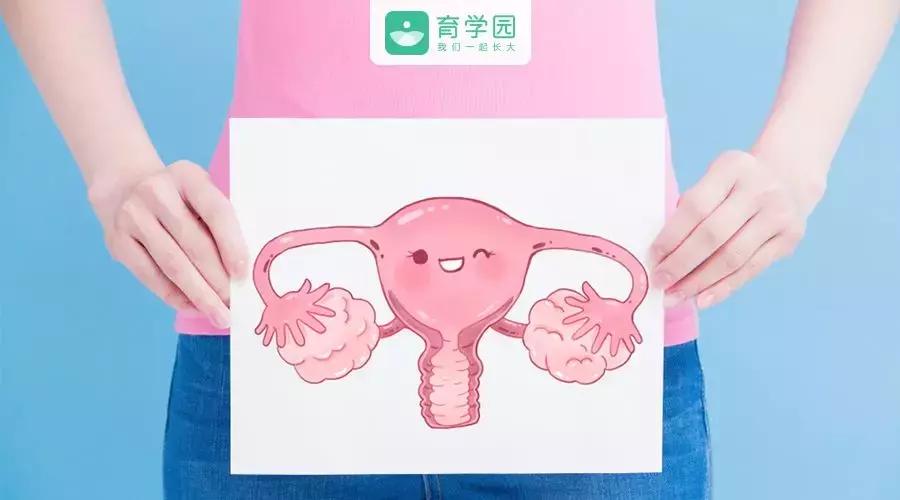 妇产科输卵管堵塞复通,输卵管不通医生建议做试管怎么办