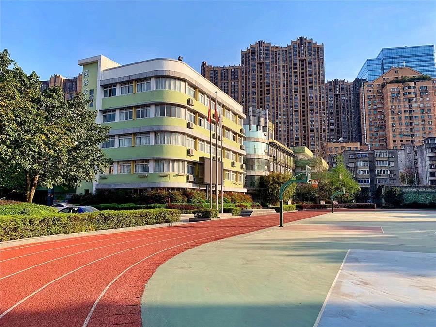 武侯区棕北西区小学好不好,武侯区弟维小学和棕北小学哪个好