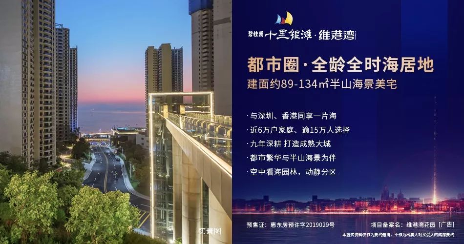 半山海景视频,维港湾海景