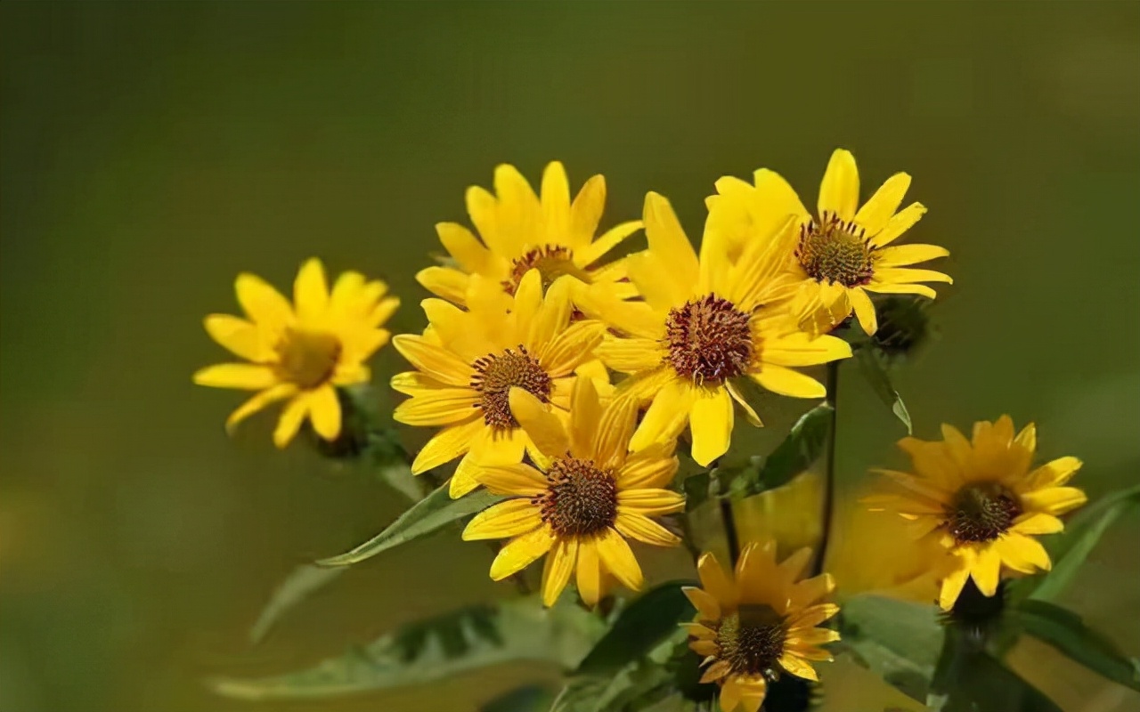 过于自信的时候怎么纠正,谈恋爱总觉得自己患得患失怎么办