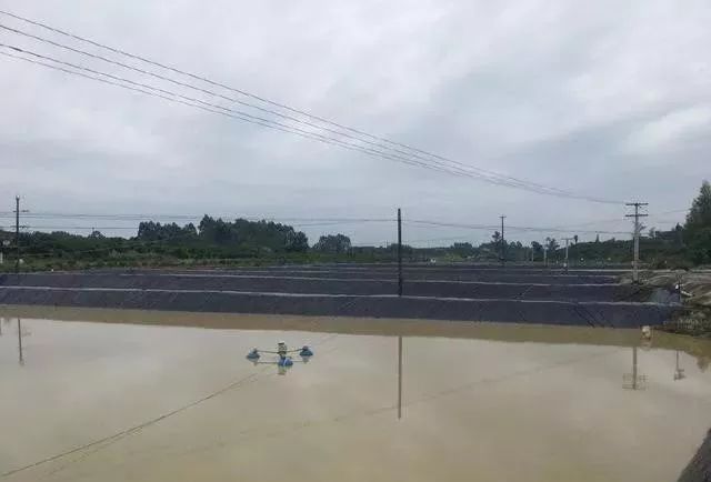 水产养殖池漏水处理方法,池塘渗水漏水怎么办