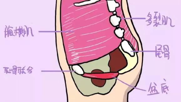 产后恢复身材还不简单，但您首先要知道这几点