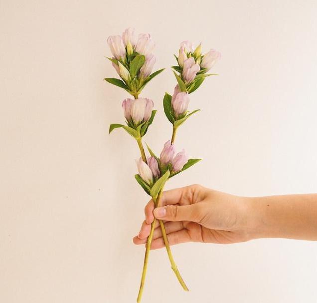 教师节祝词桃李满园,教师节桃李开满园