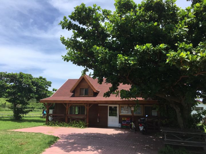 去台湾一定要去的地方,普通人去台湾攻略