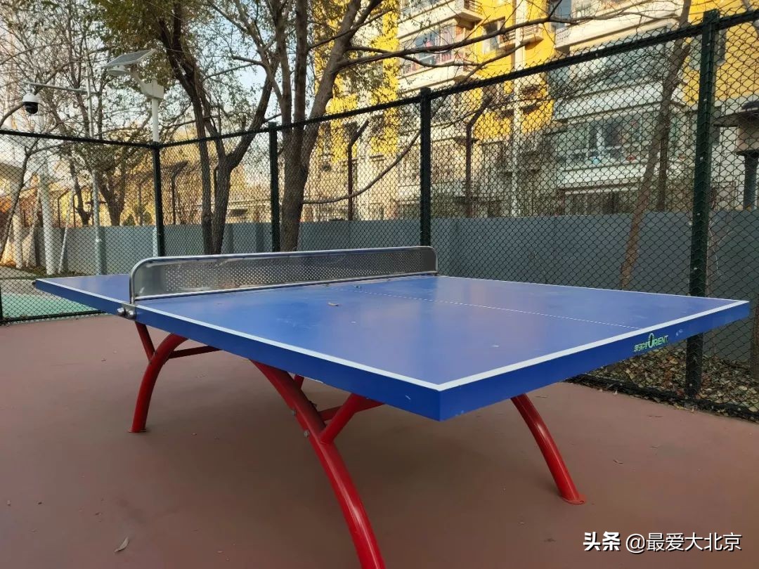 羡慕啊！住在双清路就是不一样