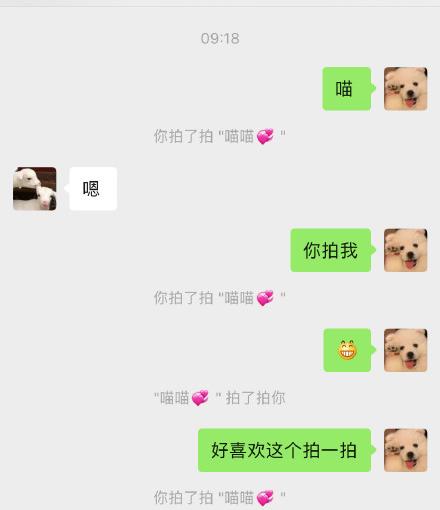 拳王虚拟项目公社:微信拍一拍在哪里?怎么玩?怎么用?怎么取消