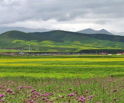 是夏天呀,是夏天呐