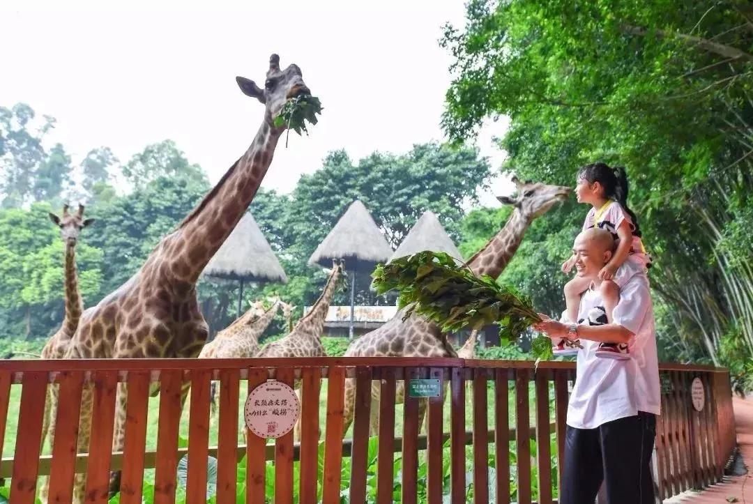 广州长隆儿童欢乐世界春节,广州长隆欢乐世界春游儿童玩什么