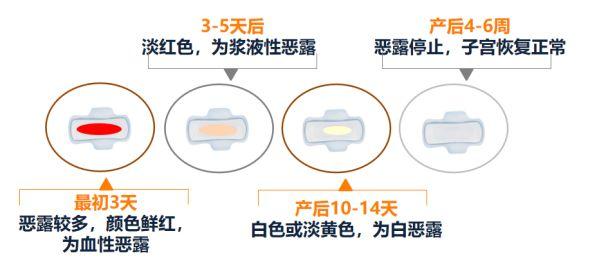 暑天如何度过产褥期｜了解产褥期生理特点，科学“坐月子”上篇
