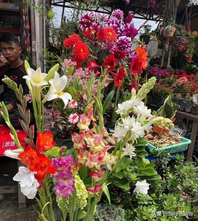 印尼棉兰多巴湖有什么特产,印度尼西亚棉兰多巴湖