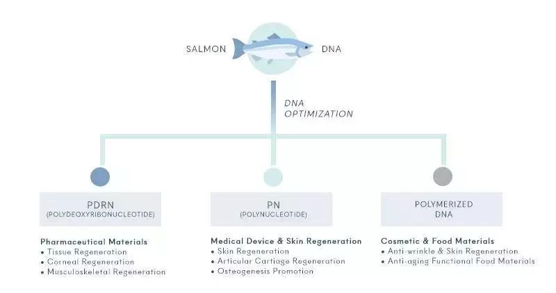 医美品牌有哪些奢侈品牌,医美有哪些护肤品牌