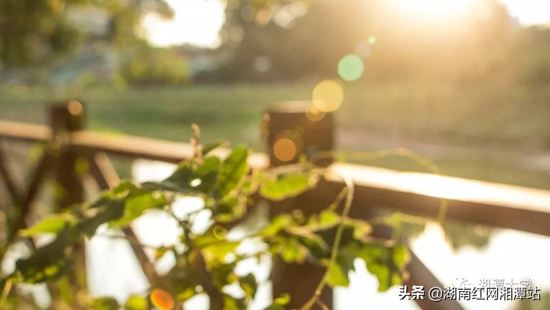 湘潭大学图,湘潭大学是湘大校友最多的大学