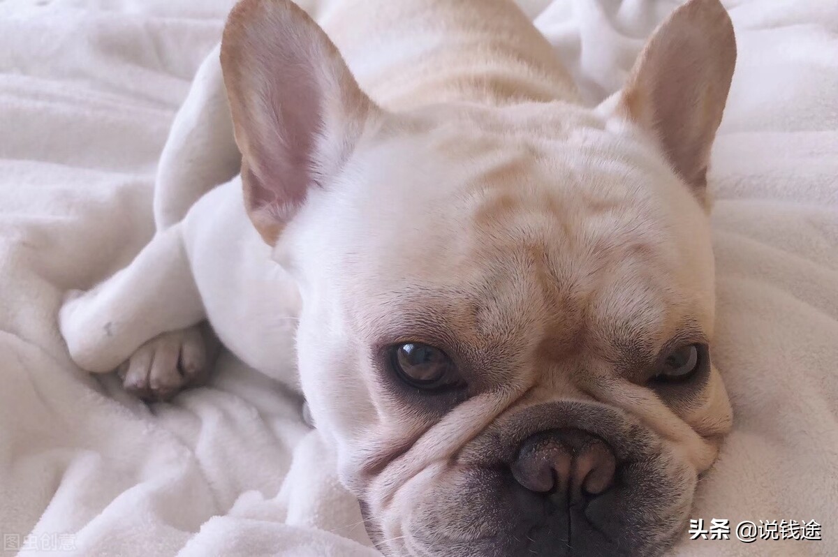 2021年最赚钱的50家企业,2021年最赚钱的5个行业方向