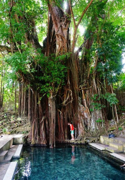 菲常路宿务美食攻略,菲常之旅临时结束