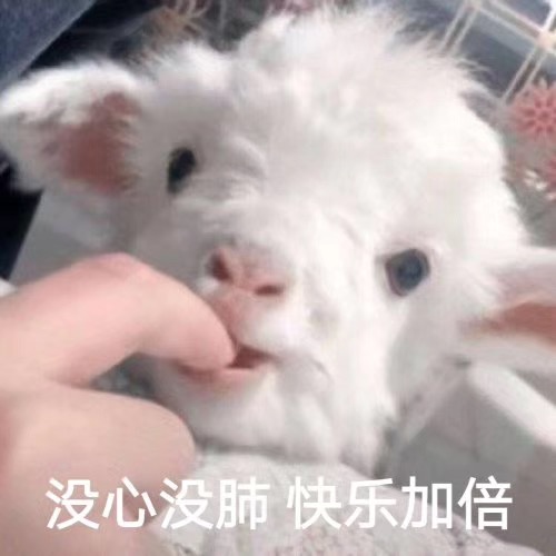 CtrlC+CtrlV=鲜肉值翻倍!双胞胎帅哥总是能带来双倍的快乐