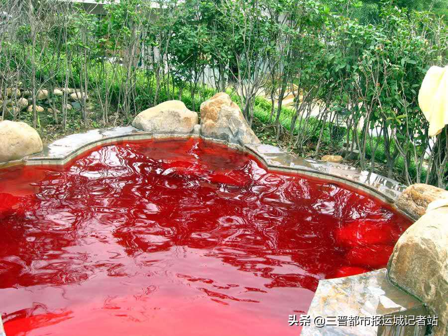 香水皇宫假日酒店——热带梦幻主题嬉水世界