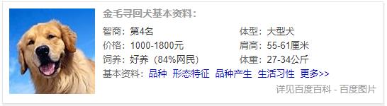狗狗品种大全及介绍,狗狗品种大全带你走进狗狗的世界